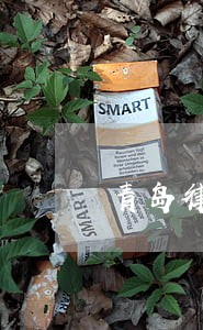 青岛律师执业资格证 青岛律师执业资格证