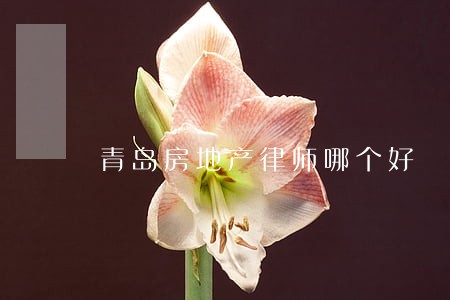 青岛房地产律师哪个好 青岛房地产律师哪个好