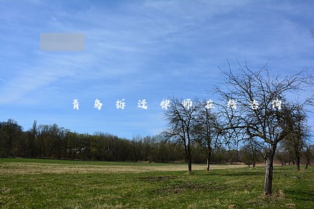 青岛拆迁律师在线咨询 青岛拆迁律师在线咨询