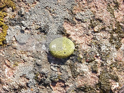 青岛拆迁逾期补偿标准 青岛拆迁逾期补偿标准