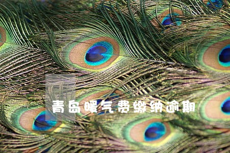 青岛暖气费缴纳逾期 青岛暖气费缴纳逾期