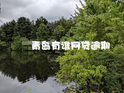 青岛有谁网贷逾期 青岛有谁网贷逾期