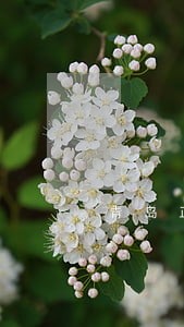 青岛正规房贷逾期修复公司 青岛正规房贷逾期修复公司