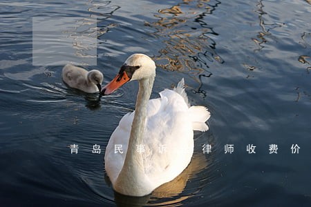 青岛民事诉讼律师收费价目表 青岛民事诉讼律师收费价目表