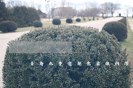 青岛水费逾期需要缴纳滞纳金 青岛水费逾期需要缴纳滞纳金