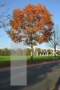 青岛求学教育在线律师咨询 青岛求学教育在线律师咨询