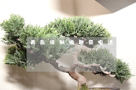 青岛法制报联系电话 青岛法制报联系电话