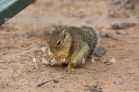 青岛法院公务员公示 青岛法院公务员公示