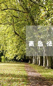 青岛法院助其回正路 青岛法院助其回正路