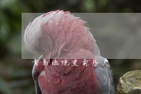 青岛法院变卖房产