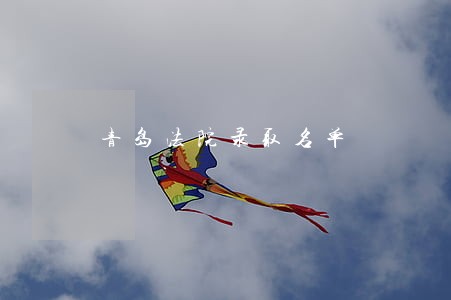 青岛法院录取名单 青岛法院录取名单