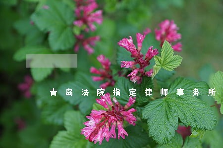 青岛法院指定律师事务所 青岛法院指定律师事务所