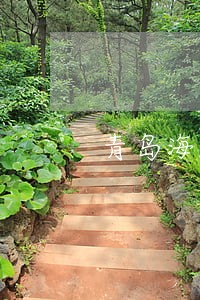 青岛海事海商律师在线咨询 青岛海事海商律师在线咨询