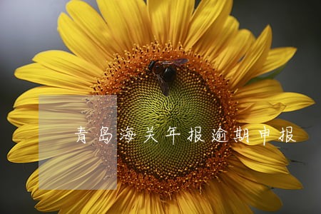青岛海关年报逾期申报 青岛海关年报逾期申报