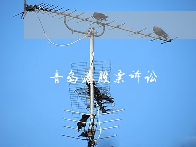 青岛港股票诉讼 青岛港股票诉讼