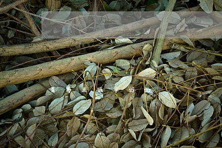 青岛王振宇诉讼 青岛王振宇诉讼