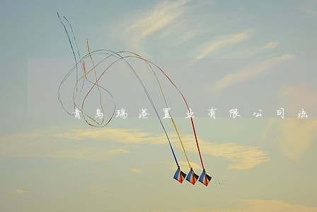 青岛瑞港置业有限公司法律 青岛瑞港置业有限公司法律