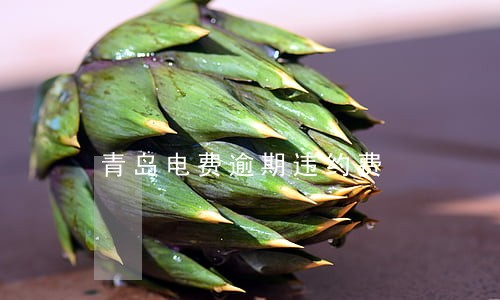 青岛电费逾期违约费 青岛电费逾期违约费