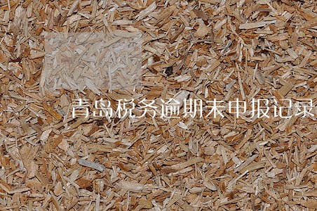 青岛税务逾期未申报记录在哪里查