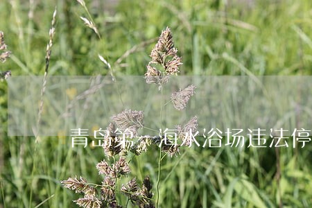 青岛第一海水浴场违法停车 青岛第一海水浴场违法停车