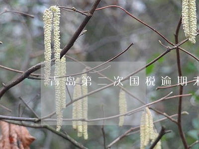 青岛第二次国税逾期未申报 青岛第二次国税逾期未申报