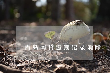 青岛网贷逾期记录消除 青岛网贷逾期记录消除
