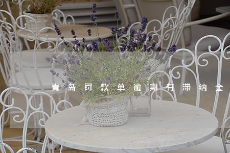 青岛罚款单逾期有滞纳金吗 青岛罚款单逾期有滞纳金吗