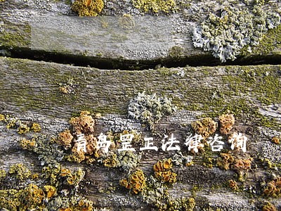 青岛罡正法律咨询 青岛罡正法律咨询