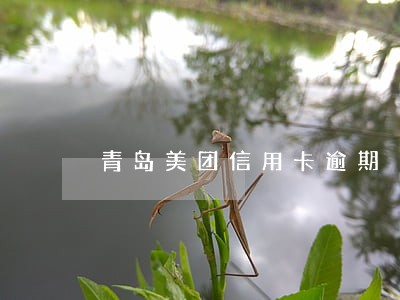 青岛美团信用卡逾期 青岛美团信用卡逾期