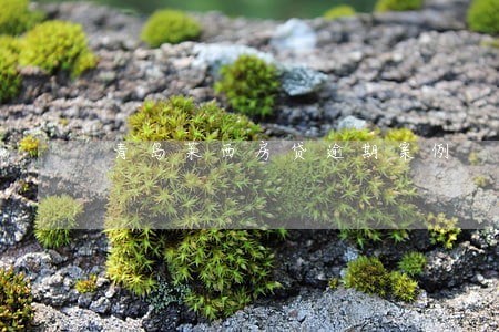 青岛莱西房贷逾期案例