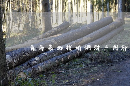 青岛莱西找婚姻财产纠纷律师 青岛莱西找婚姻财产纠纷律师