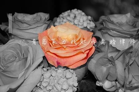 青岛莱西找起诉离婚律师 青岛莱西找起诉离婚律师