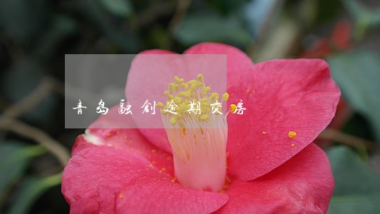 青岛融创逾期交房