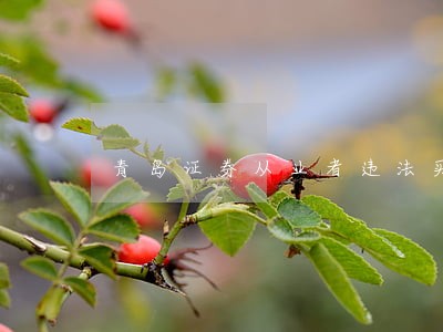 青岛证券从业者违法买卖股票 青岛证券从业者违法买卖股票