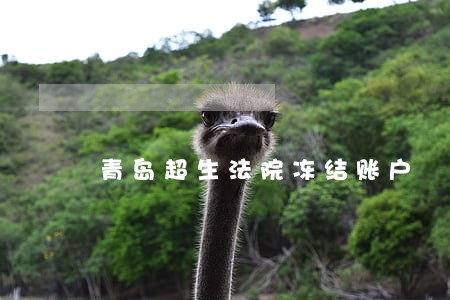 青岛超生法院冻结账户