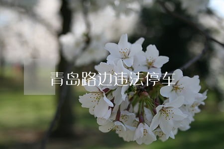 青岛路边违法停车 青岛路边违法停车