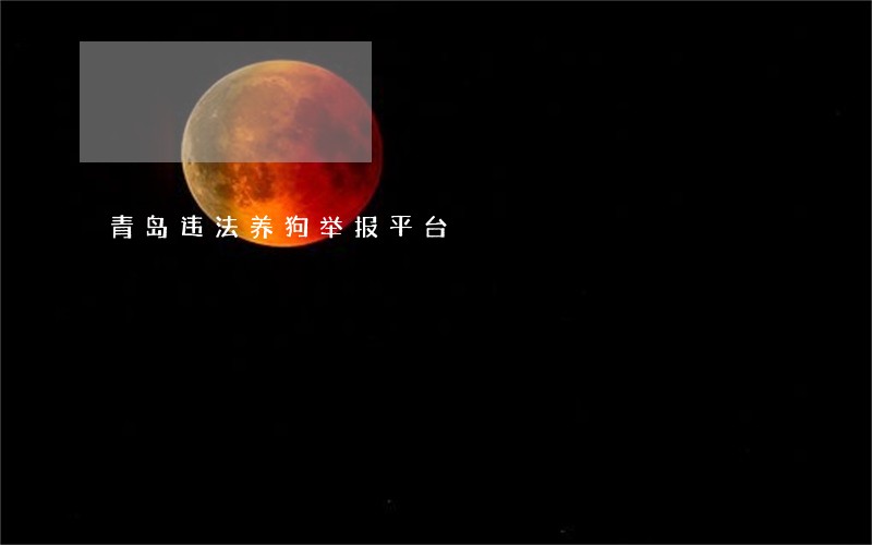 青岛违法养狗举报平台 青岛违法养狗举报平台