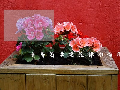 青岛违章建筑律师咨询尽职尽责 青岛违章建筑律师咨询尽职尽责