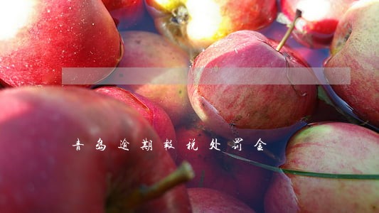 青岛逾期报税处罚金 青岛逾期报税处罚金