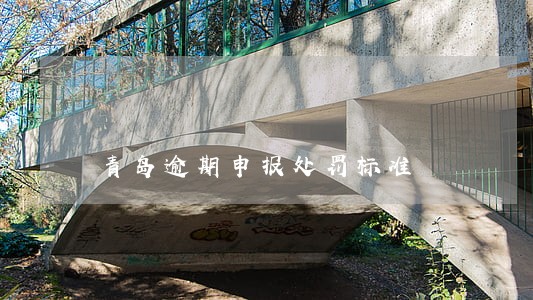 青岛逾期申报处罚标准
