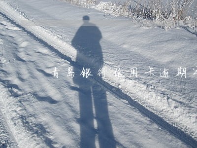 青岛银行信用卡逾期半年 青岛银行信用卡逾期半年