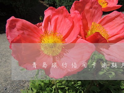 青岛银行信用卡逾期外访