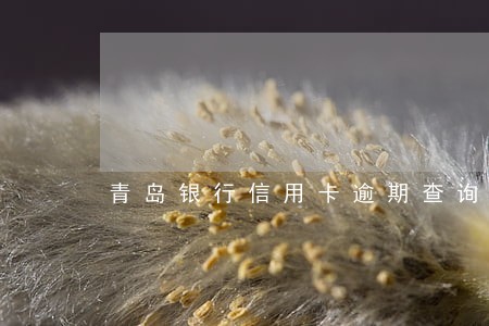 青岛银行信用卡逾期查询 青岛银行信用卡逾期查询