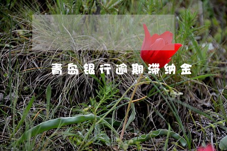 青岛银行逾期滞纳金
