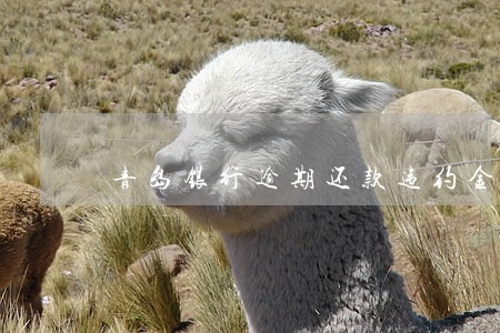 青岛银行逾期还款违约金法律规定