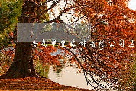 青岛飞皇装饰有限公司法人 青岛飞皇装饰有限公司法人