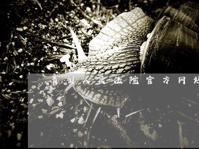 青州人民法院官方网站 青州人民法院官方网站