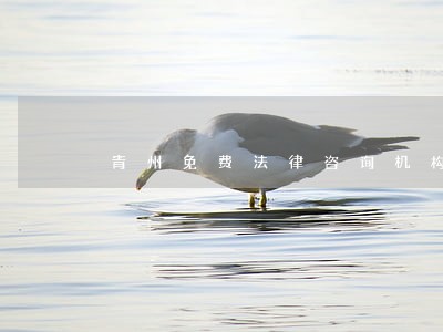 青州免费法律咨询机构 青州免费法律咨询机构