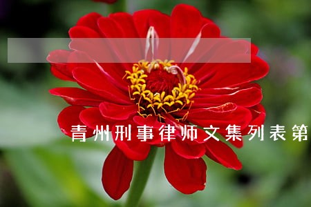 青州刑事律师文集列表第十一页