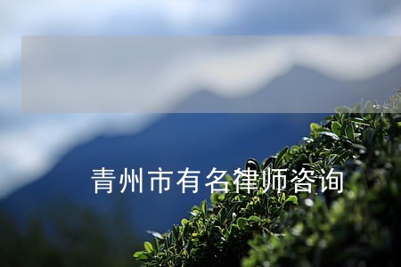 青州市有名律师咨询 青州市有名律师咨询